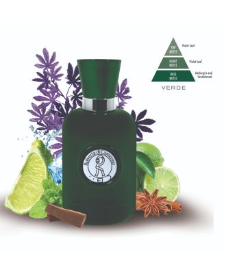 Roberta di camerino verde edp men 100 ml