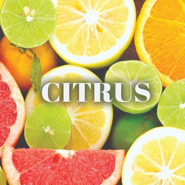 cirtus